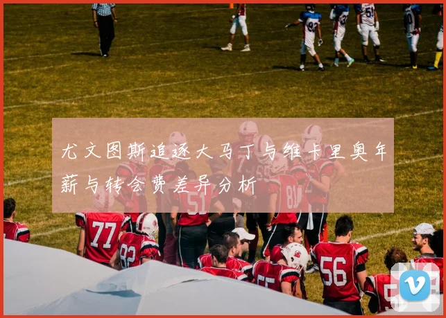 尤文图斯追逐大马丁与维卡里奥年薪与转会费差异分析