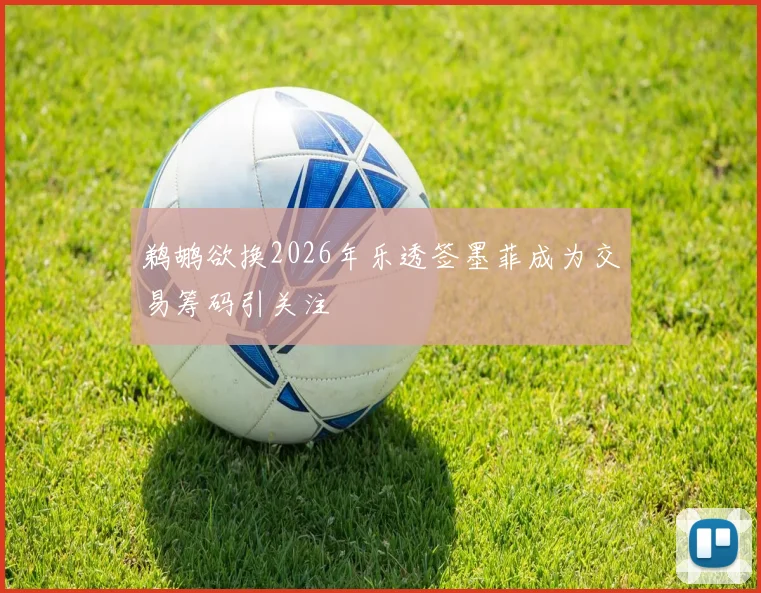 鹈鹕欲换2026年乐透签墨菲成为交易筹码引关注